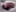 2026 Honda Passport