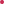 Rosa Corral
